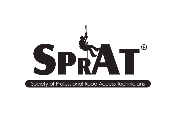 sprat